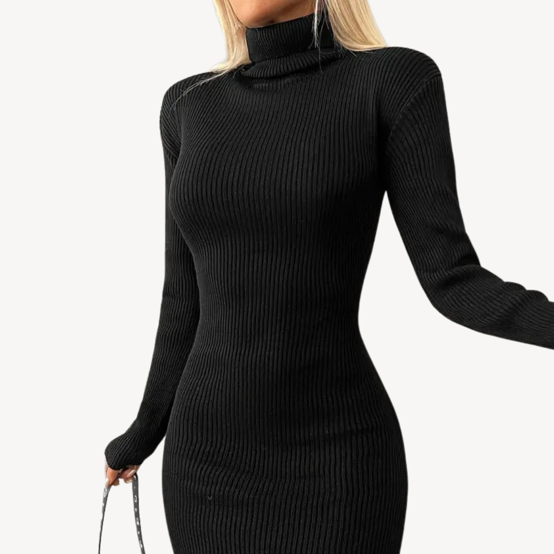 Black Ribbed Knit Turtleneck Dress for Women Sutton James